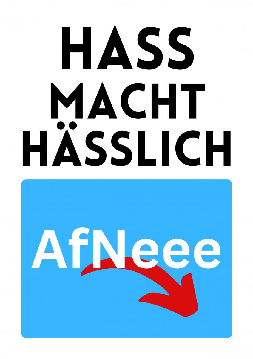 Plakate-fuer-Demo-gegen-AfD_2